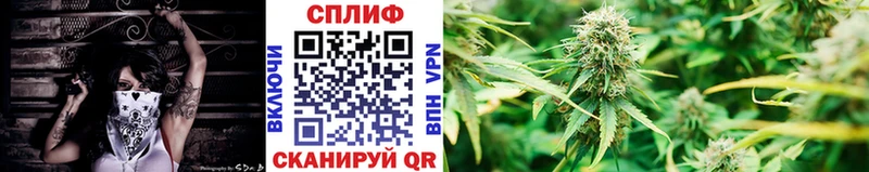 Купить закладку КОКАИН  МЕФ  APVP  Каннабис  ГЕРОИН  ГАШИШ  Нерехта