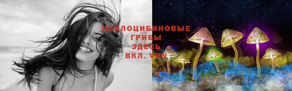 мет Карпинск