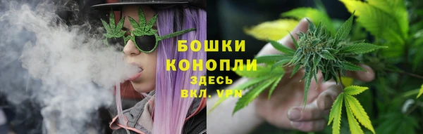дурь Киреевск
