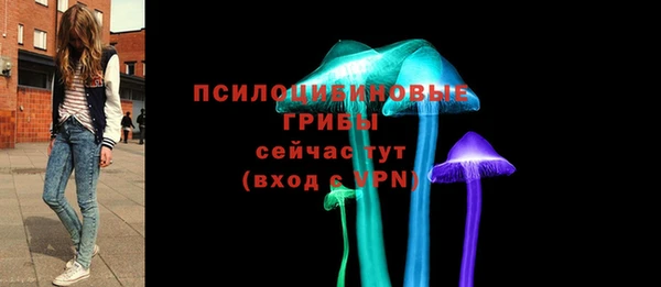 мет Карпинск