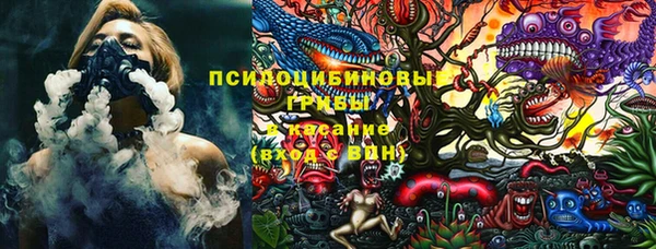 дурь Киреевск