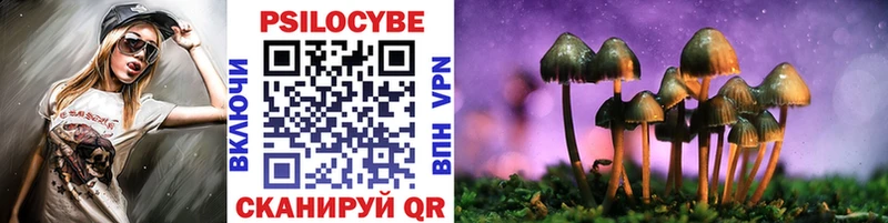 Галлюциногенные грибы Cubensis Купить где Нерехта